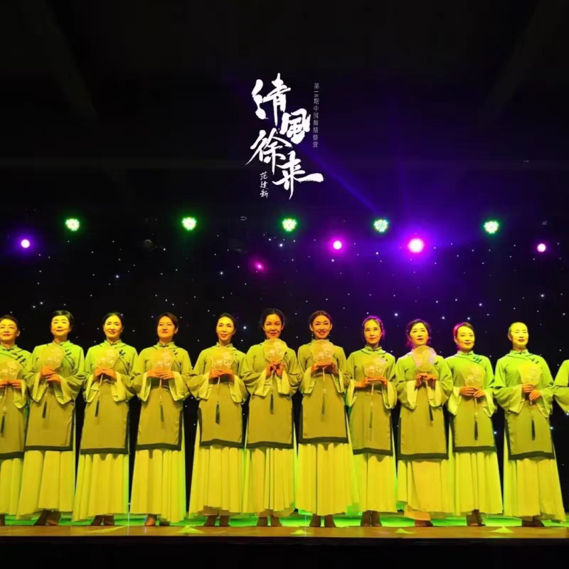 古典舞演出服女群舞清风徐来舞蹈服宽松扇舞表演艺考练习服装古风