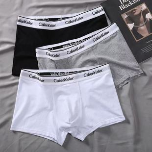 男士内裤莫代尔四角裤棉质裆部运动男平角裤抗菌无痕青少年短裤头