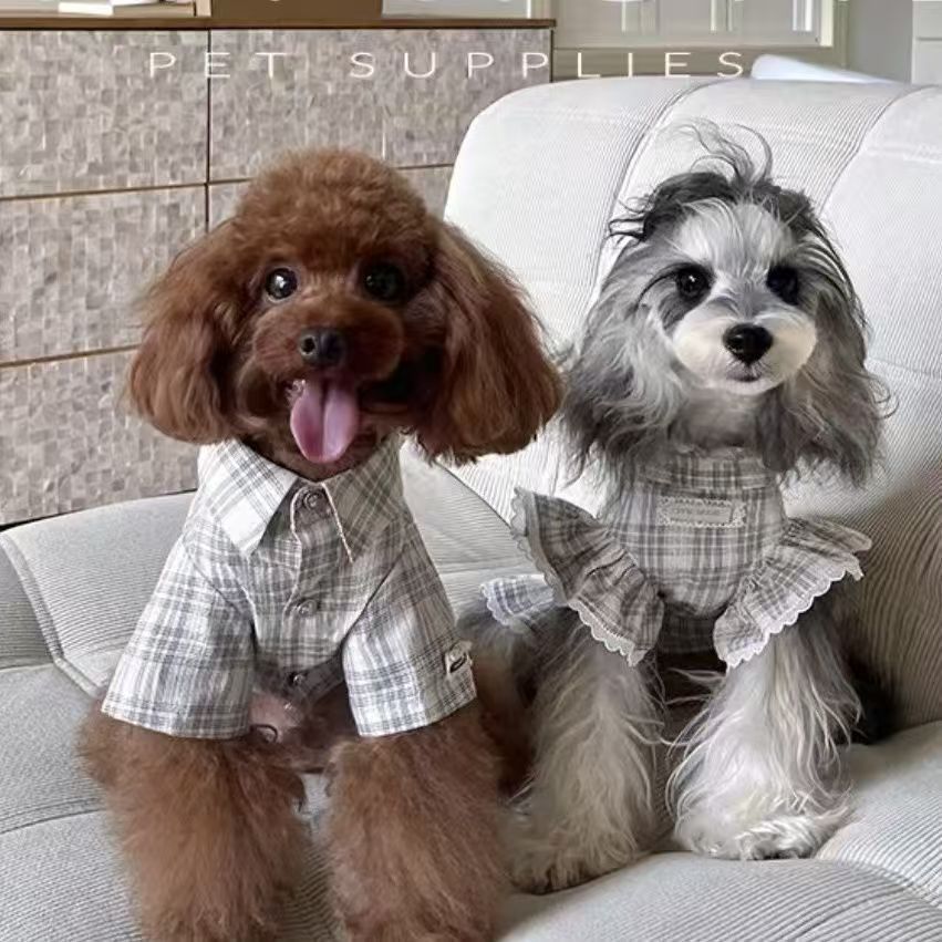 狗狗猫咪情侣装宠物礼服衬衫领带小狗小型犬洋装西装裙春夏薄款