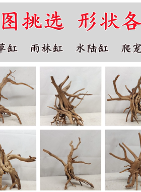杜鹃根沉木按斤微观造景小缸草缸骨架栖根水陆缸木头莫斯树爬宠蟹