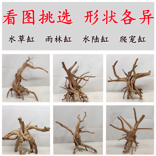 杜鹃根栖根沉木草缸造景爬宠