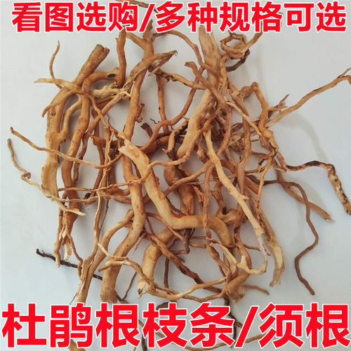 杜鹃根枝条水草沉木骨架修饰造景