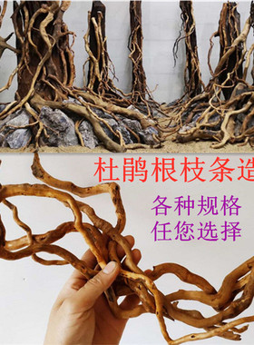 杜鹃根细枝条 须根沉木 水草 微观南美缸虫洞树洞拼接骨架缸造景
