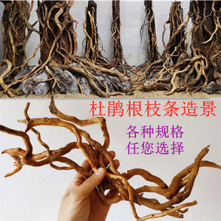 杜鹃根细枝条 须根沉木 水草 微观南美缸虫洞树洞拼接骨架缸造景