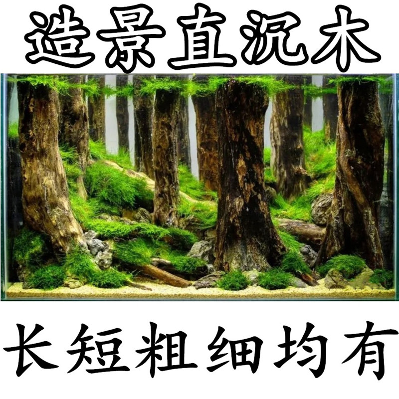 森林直沉木水草鱼缸造景素材