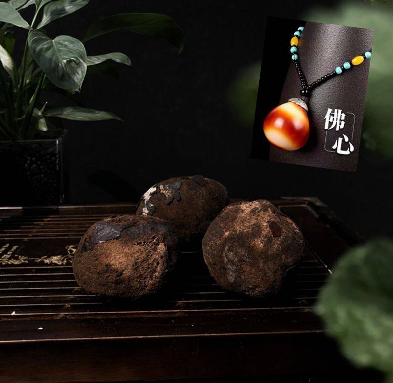 佛心果超大原籽单颗彩果白果成品挂坠释迦佛心菩提空心金灯菩提子