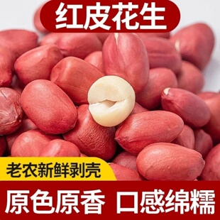 红皮花生颗粒饱满农家新货新鲜家用红衣花生米红皮花生米新花生米