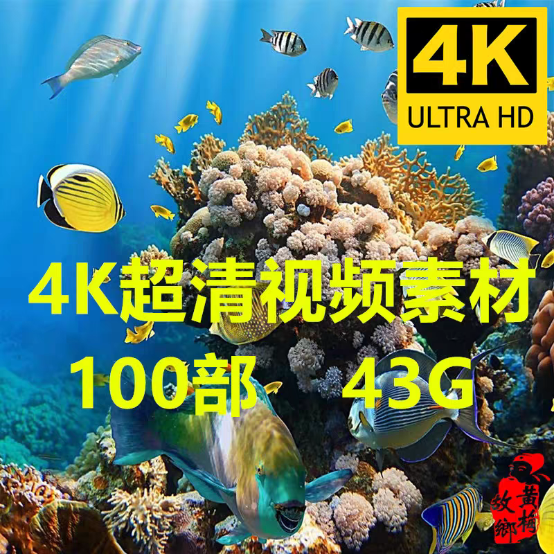 4K片源 海洋海底生物世界 鱼群珊瑚海龟鲨鱼海洋动物高清视频素材