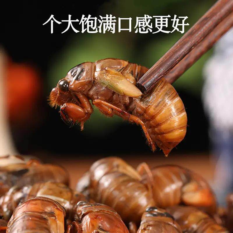 当季新鲜山东大金蝉知了猴银蝉爬其它生肉制品