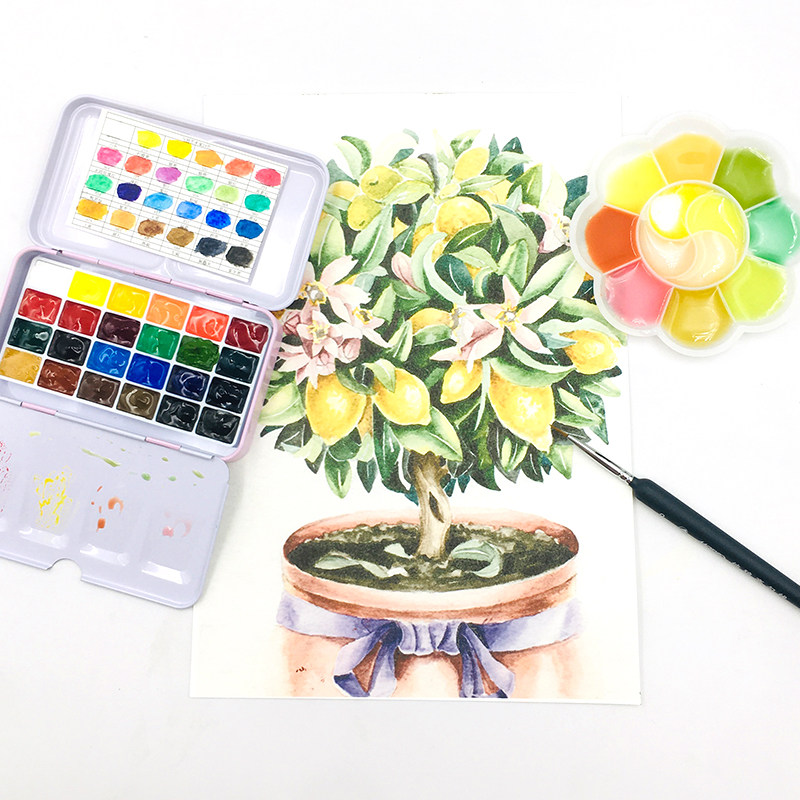 马利牌艺术家固体水彩分装颜料24色美甲珠光色入门水彩画工具套装