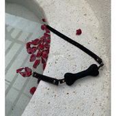 超可狗骨头口塞球 小狗日记 墙推 tiao教k9另类玩具口情q男女