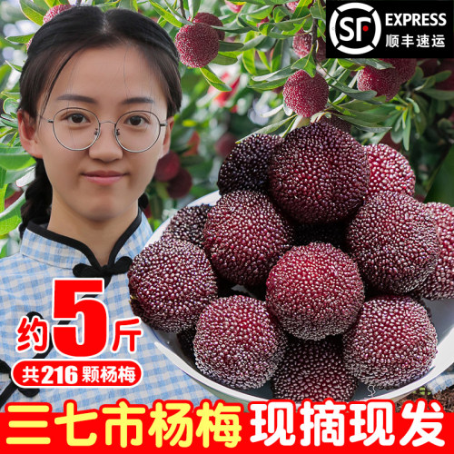 三七市镇荸荠种杨梅现摘现发真甜