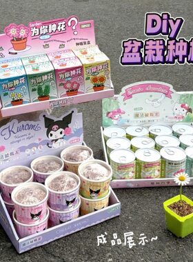 创意水果花朵小盆栽DIY趣味桌面小摆件学生奖品礼物室内绿植花卉