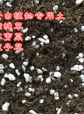 子豪缘食虫植物专用土瓶子草