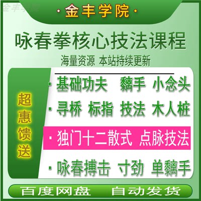 咏春拳视频课程木人桩寻桥标指小念头独门十二散式点脉实战共9集