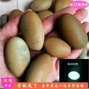 天然夜光石夜明珠原石萤石 发光石头雕刻原石 发光奇石摆件包邮