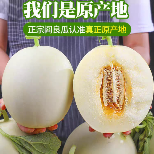 新鲜发货现摘阎良小甜瓜陕西当季新鲜水果整箱软糯香甜小蜜瓜包邮