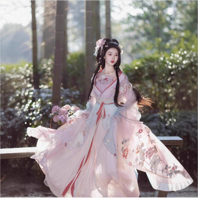 新款原创【玉水轻鸾】刺绣吊带超仙汉服南北朝国风大典走秀明星款