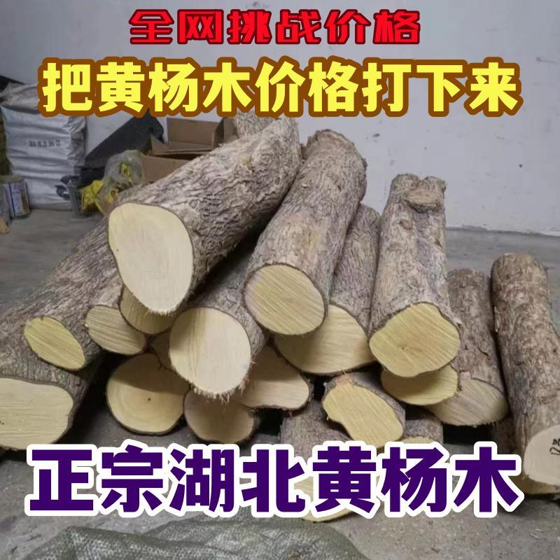 黄杨木湖北弹弓葫芦雕刻原木料