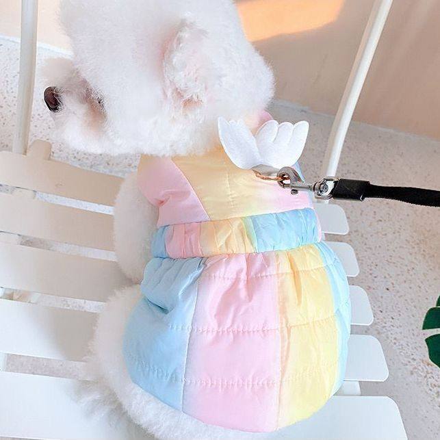 奇宠可爱冬款厂家直销