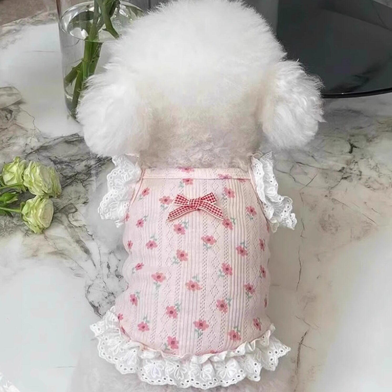 公主裙泰迪比熊狗狗猫咪居家服宠物衣服春夏新款碎花蕾丝吊带短款