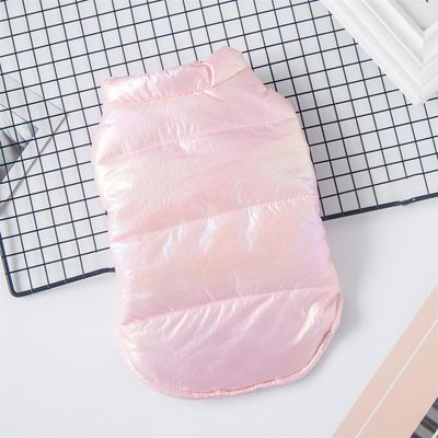 棉衣猫咪幼犬博美比熊