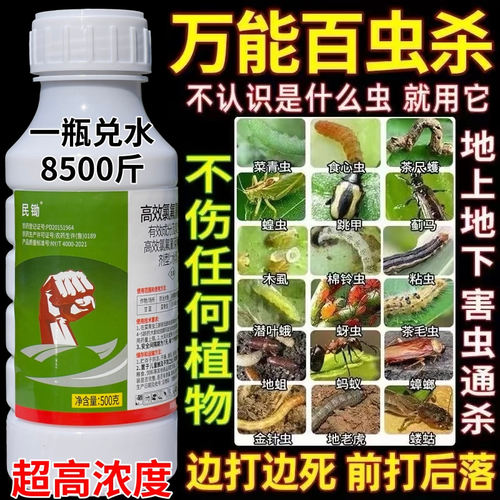 高效氯氟氰菊酯杀菜青虫蚜虫