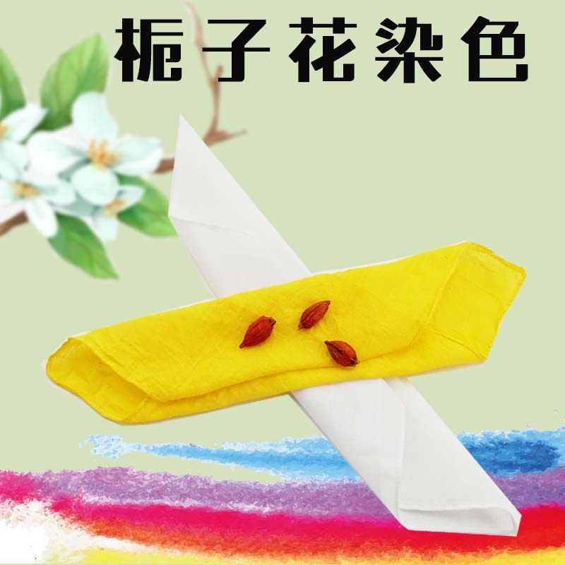 diy植物涂鸦纯棉白色科学小实验
