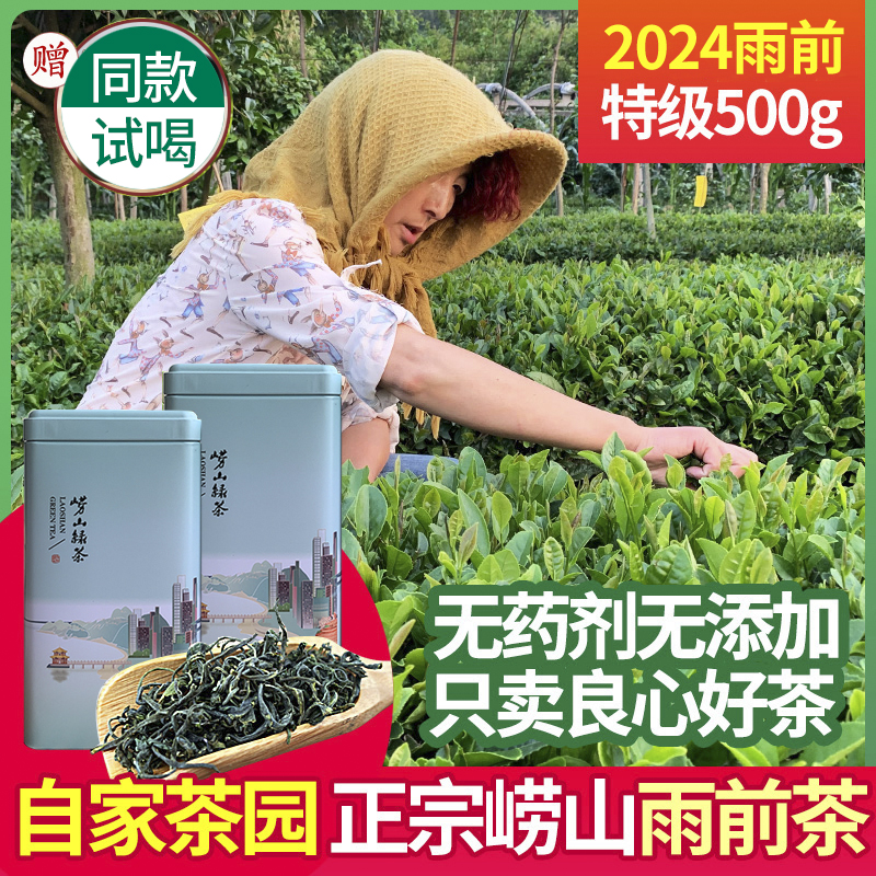 崂山绿茶2024新茶茶叶春茶浓香型500g特级散装豆香礼盒装青岛特产