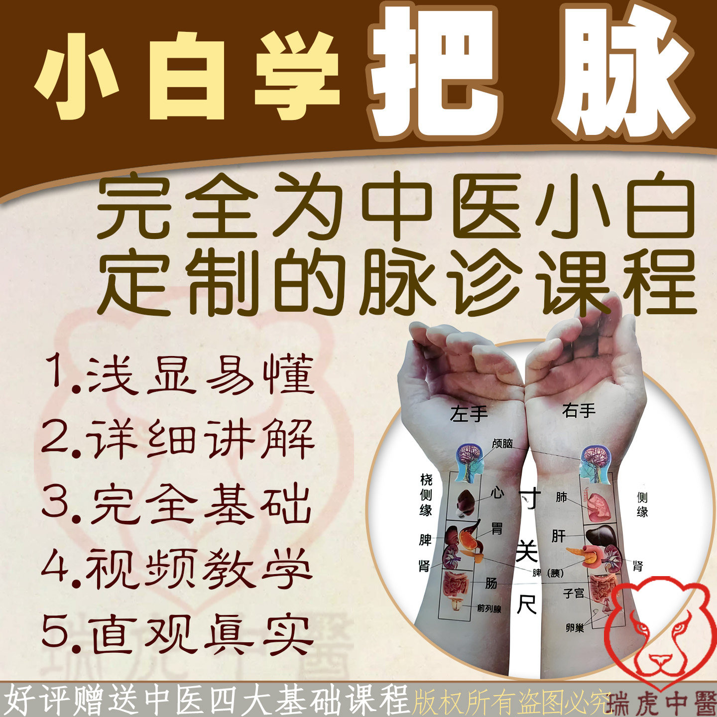 脉诊把脉入门视频课程零基础自学脉象中医基础理论号脉教学教程