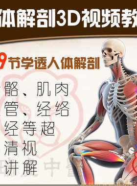 人体解剖学3D视频动画教学肌肉骨骼神经皮肤血管淋巴推拿正骨针灸