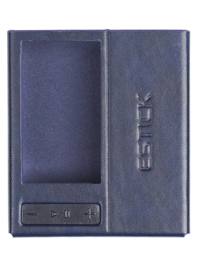 FiiO/飞傲 SK-ESTICK+QX13磁吸QX13便携解码耳放保护皮套