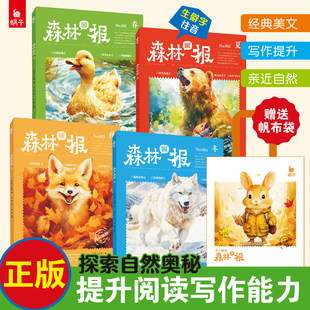 【赠帆布袋】森林画报春夏秋冬全套装4册蜗牛森林报小学课本图书小学生三四五六年级课外书籍适合8~12岁儿童阅读故事绘小书坊