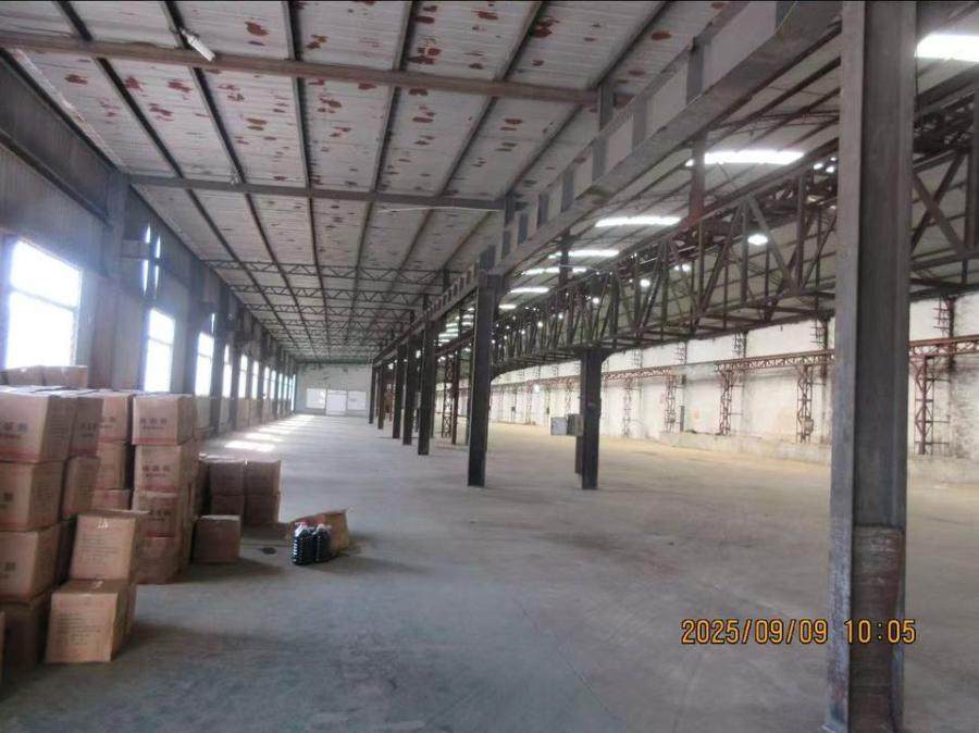 1月22日德州205国道以南土地使用权、房产及地上物一宗网络拍卖公告