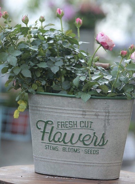 花园花盆创意花桶植物种植盆装饰