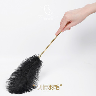 逗猫棒羽毛鸵鸟毛金属可拆分演出天然黑色