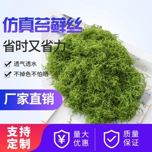 通透仿真苔藓放鱼缸盆栽造景绿植假青苔道具花盆多肉