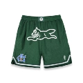 Green White Flying Dog