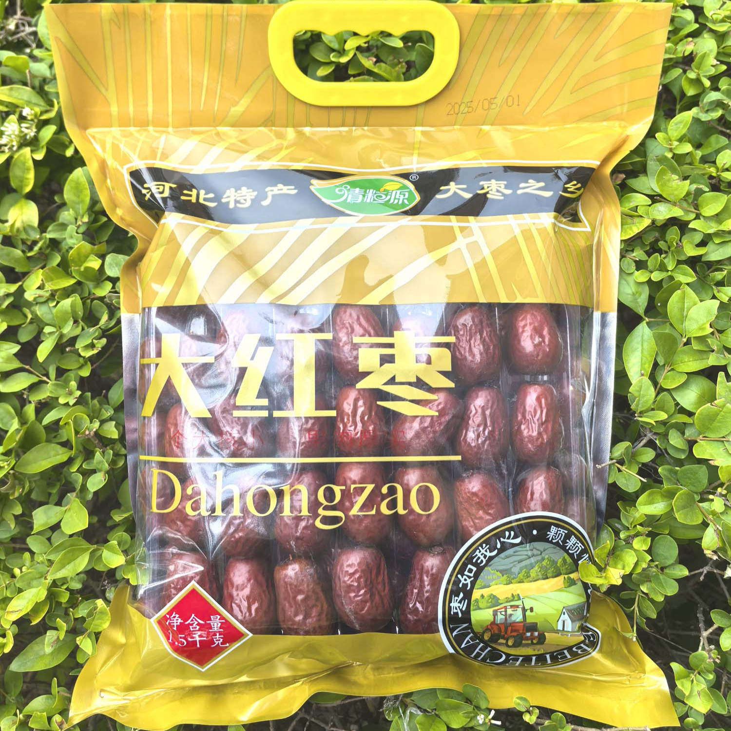 河北特产清粒源大红枣袋装休闲零食煲汤煮粥1.5kg