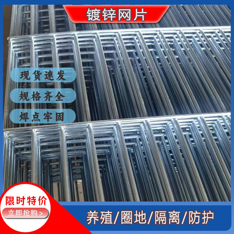 镀锌铁丝网片养殖围栏鸟笼鸽笼网片电焊网格狗笼垫底网鹦鹉笼网片,畜牧/养殖物资,养殖用具,淘宝优惠券,粉丝福利购,淘宝优惠卷