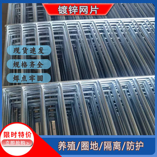 镀锌铁丝网片养殖围栏鸟笼鸽笼网片电焊网格狗笼垫底网鹦鹉笼网片