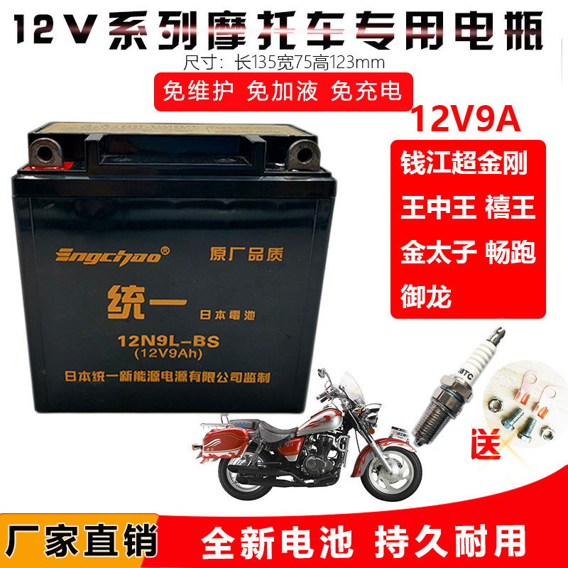 金刚禧王150-18A钱江龙电瓶12V