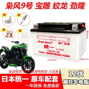蛟龙 宝雕RR 劲隆领跑200R蓄电池 宝雕BD200 摩托车水电瓶枭风9号