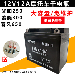 摩托车电瓶YTX12-BS春风400 650赛艇300CT250 12V12A10Ah干电池