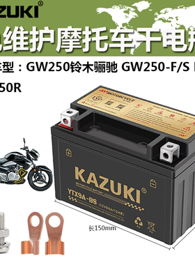 YTX9-BS摩托车干电瓶豪爵铃木骊驰GW250-F-S GSX250R DL250蓄电池