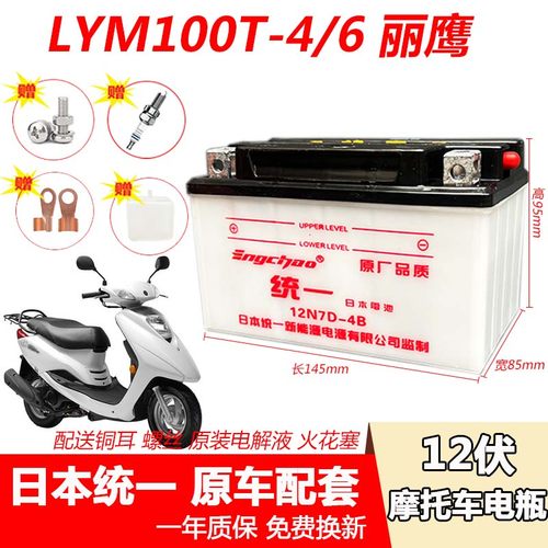 丽鹰LYM100T-4-6摩托车电瓶