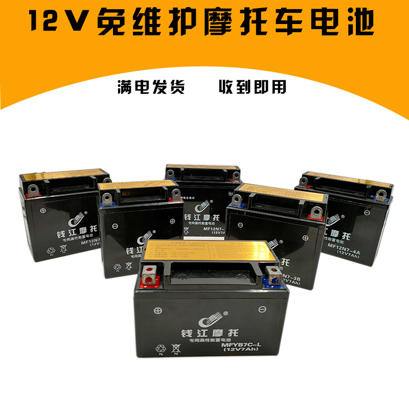 适用钱江小暴龙BJ125-3ETNT/135 BJ150-29B摩托车电池免维护12V7A