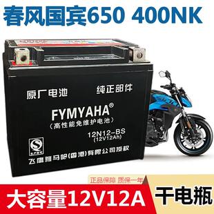 适用阿普利亚SRMAX250 SRMAX300 SR300 台风SR150ie比亚乔X7电瓶