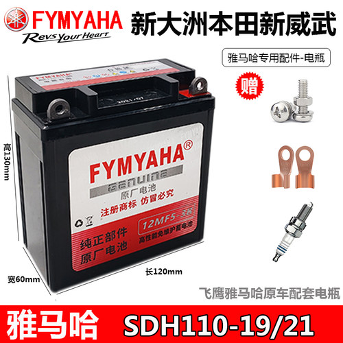 新威武摩托车干电瓶-19