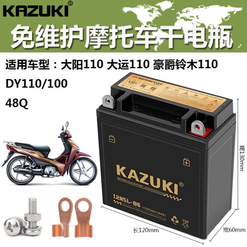 大阳DY110100摩托车干电瓶